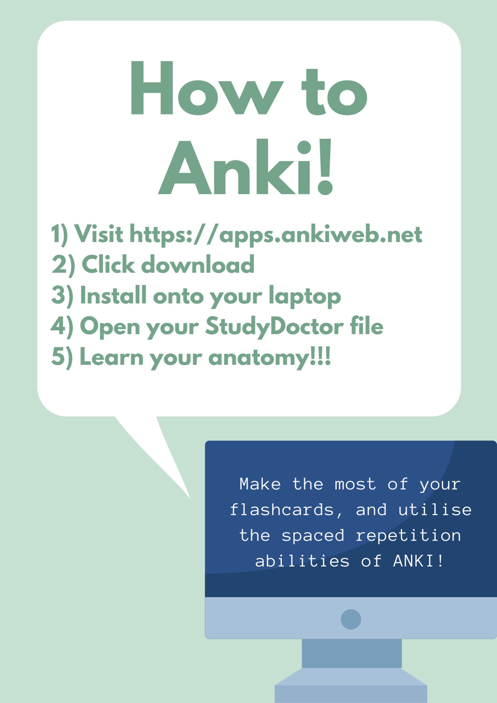 Abdominal Anatomy Anki Flashcards Medicine/Nursing/Physician Etsy