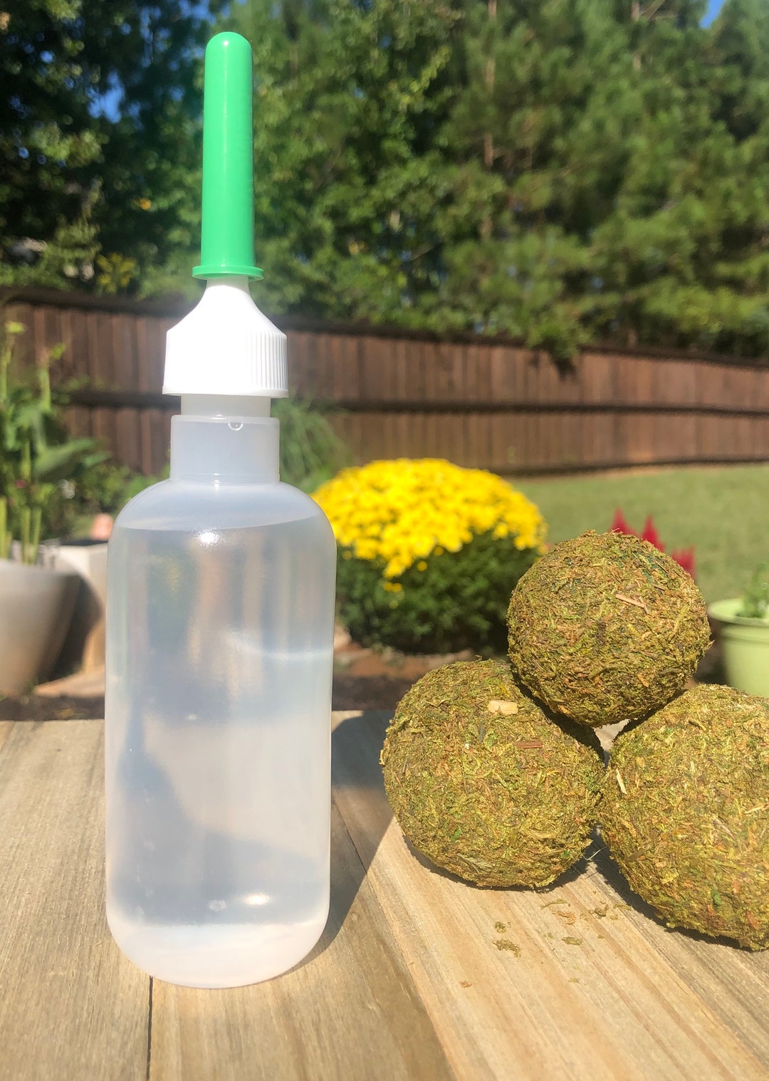 3 Vaginal Douche/ Yeast Infection/ BV Etsy