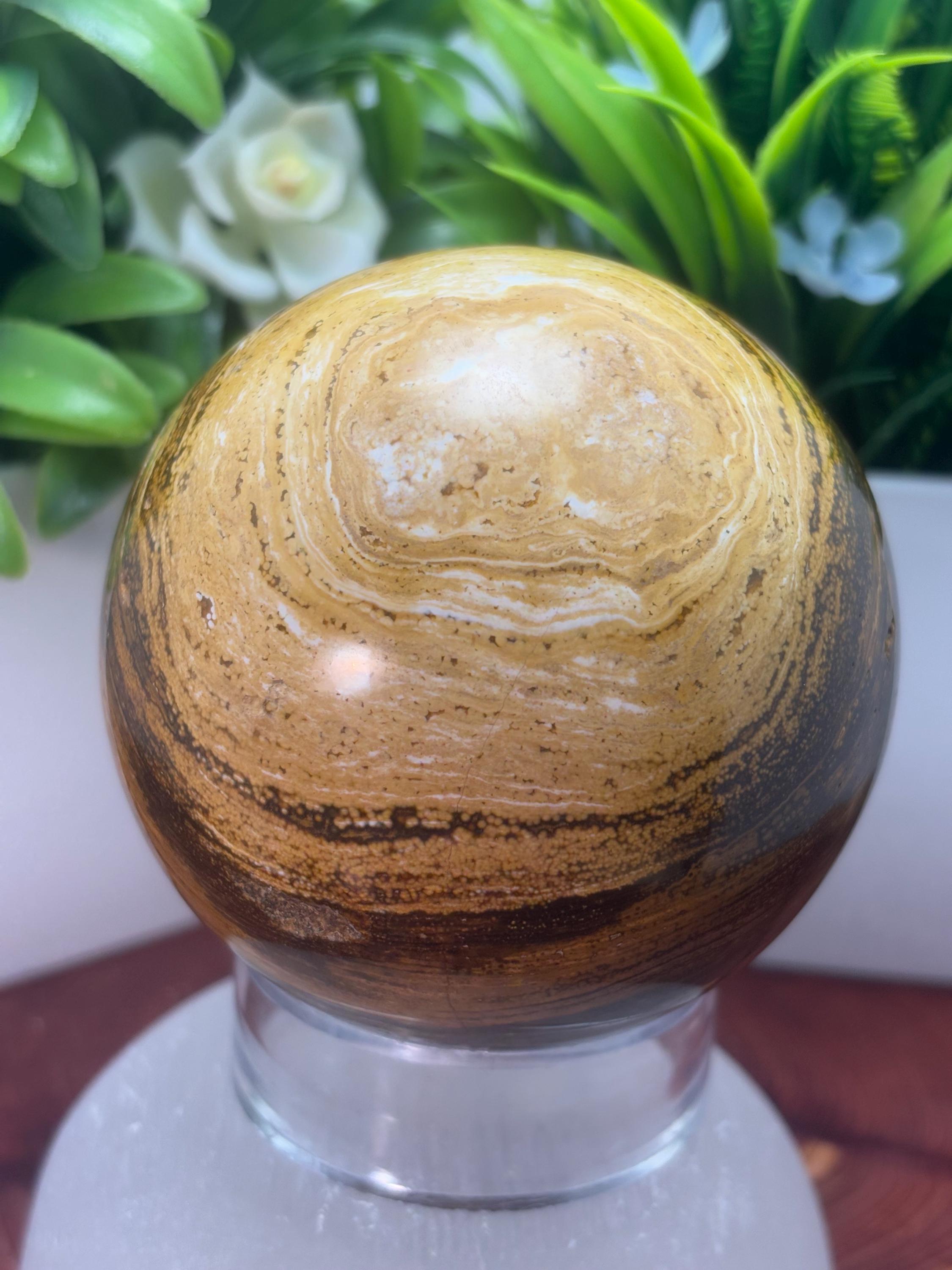 ペトリファイドウッド スフィア 珪化木・スフィア ペトリファイドウッド Planets earth ウクライナ産