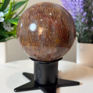May include: A polished, reddish-brown crystal sphere with internal patterns, displayed on a black star-shaped stand. The sphere has a reflective surface, and the stand is made of metal. The background includes green and purple plants.