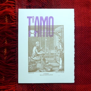 TrAMO
