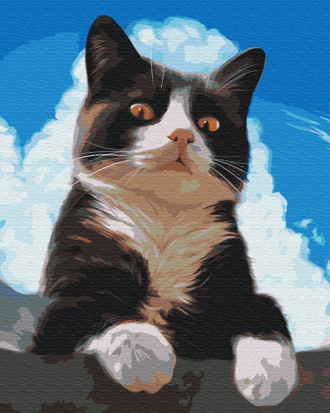 Black Cat Paint by Numbers Kit DIY Handmade Gift - Etsy