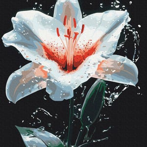 Lily Paint By number Kit Flowers Diy Painting Kit Painting On Canvas Wall Picture Frame Set  Diy Paint Kit Wall Picture