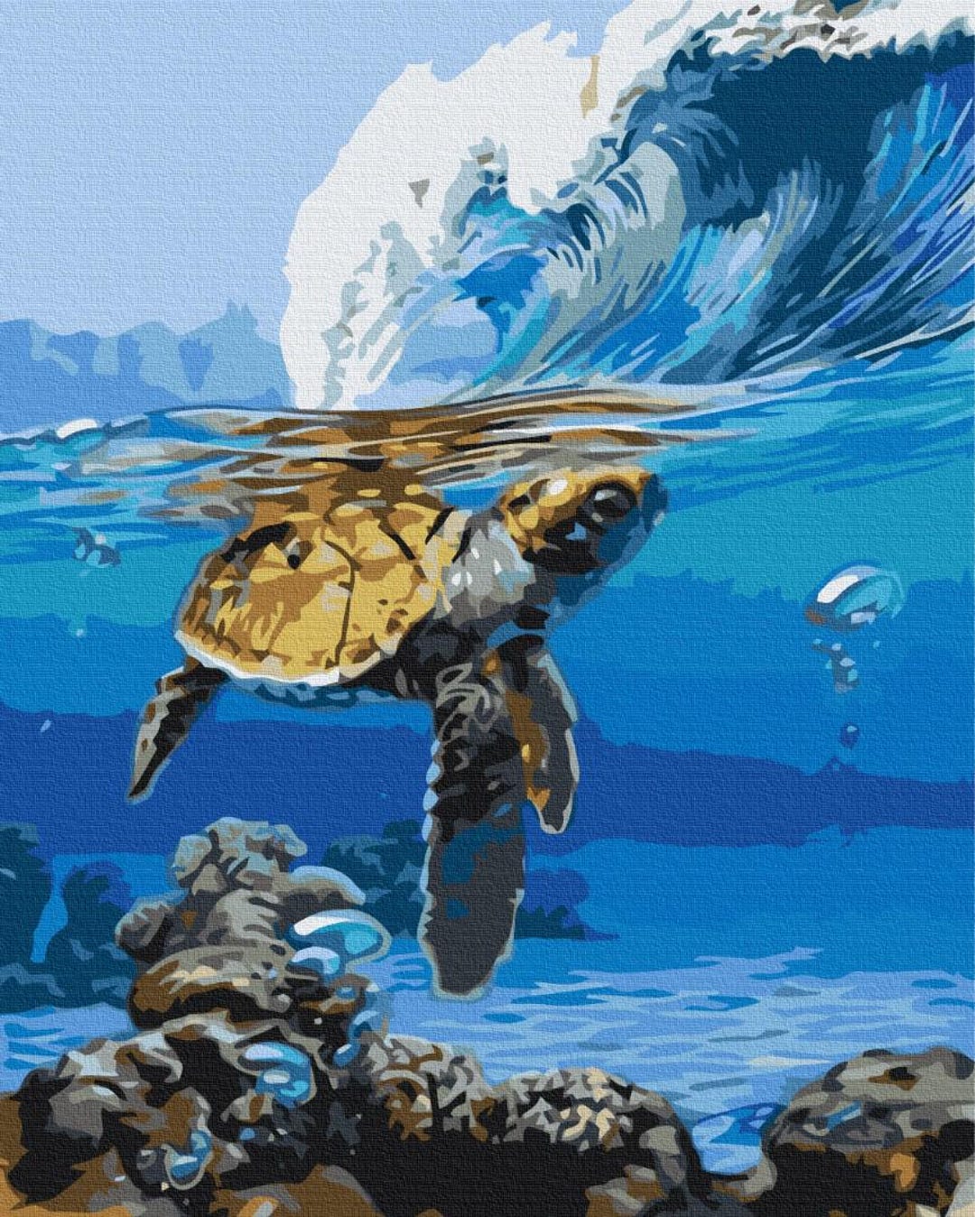 Turtle Paint by Number Kit Diy - Etsy