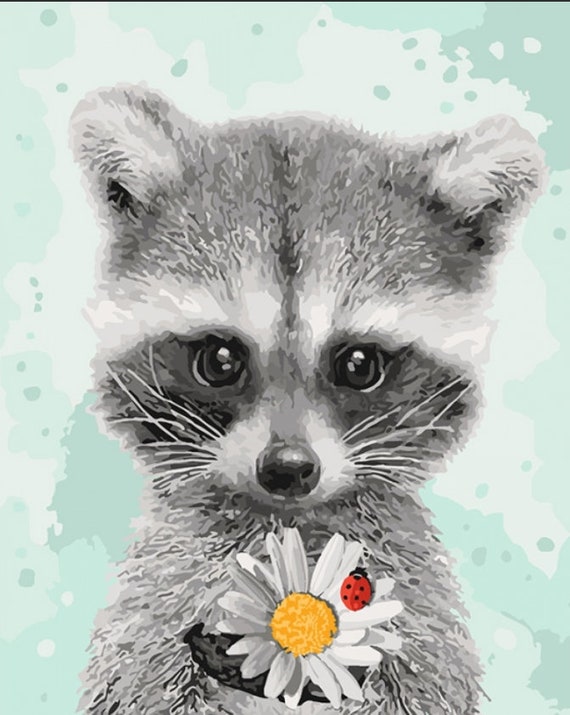 Paint By Numbers Adults kids Cute Raccoons DIY Painting Kit