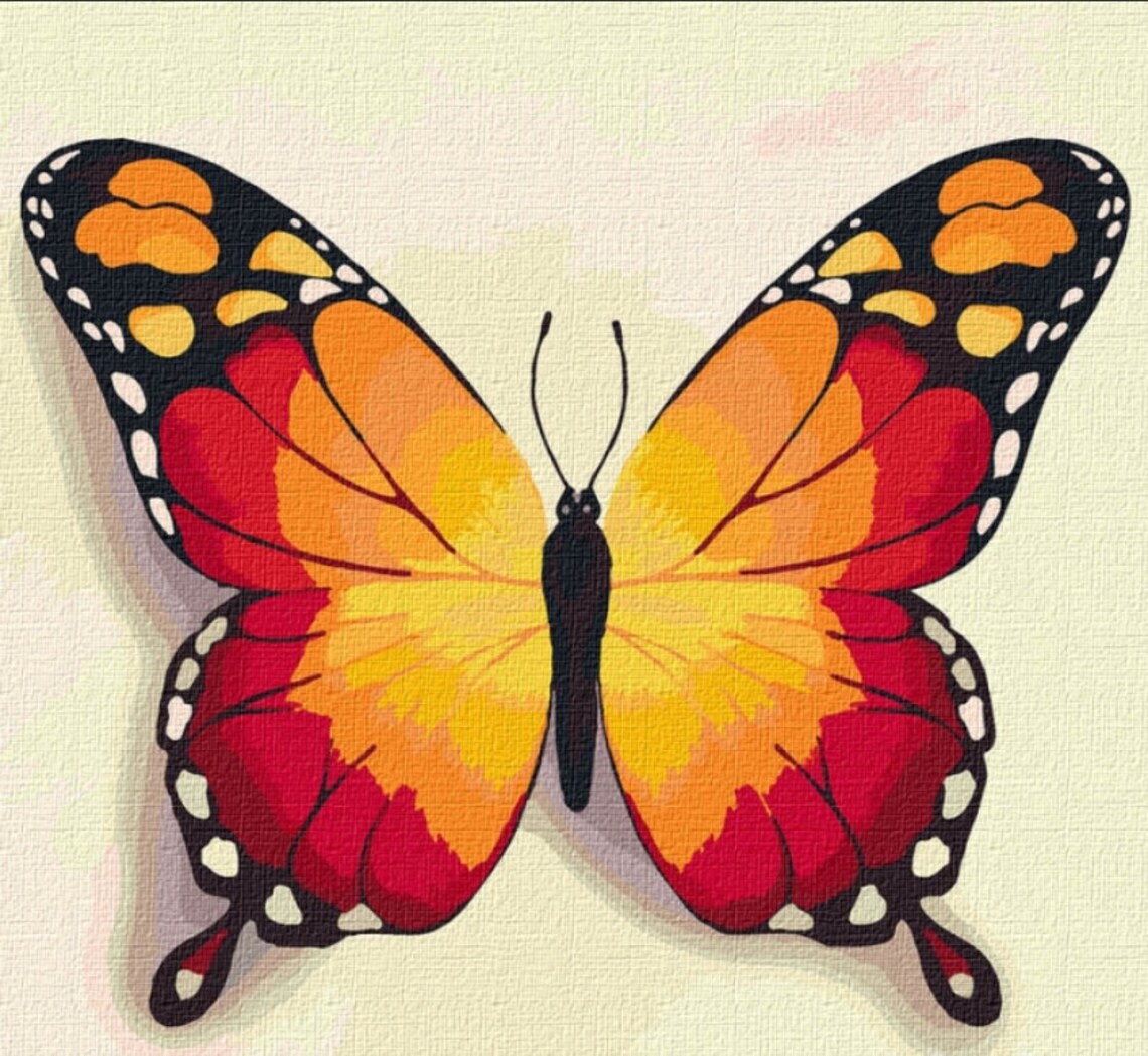 Butterfly Paint By number Kit for Adults Insects Diy Painting Etsy
