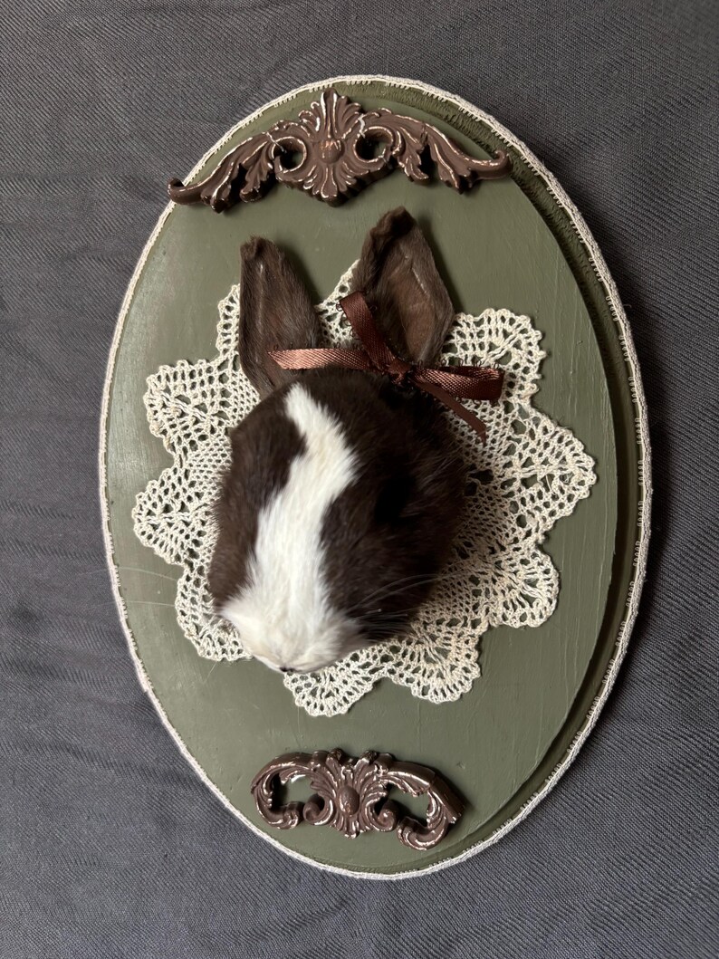 Mummified Rabbit Earth Toned Real Mummified Bunny Wooden Plaque Wall Art - Oddity and ...