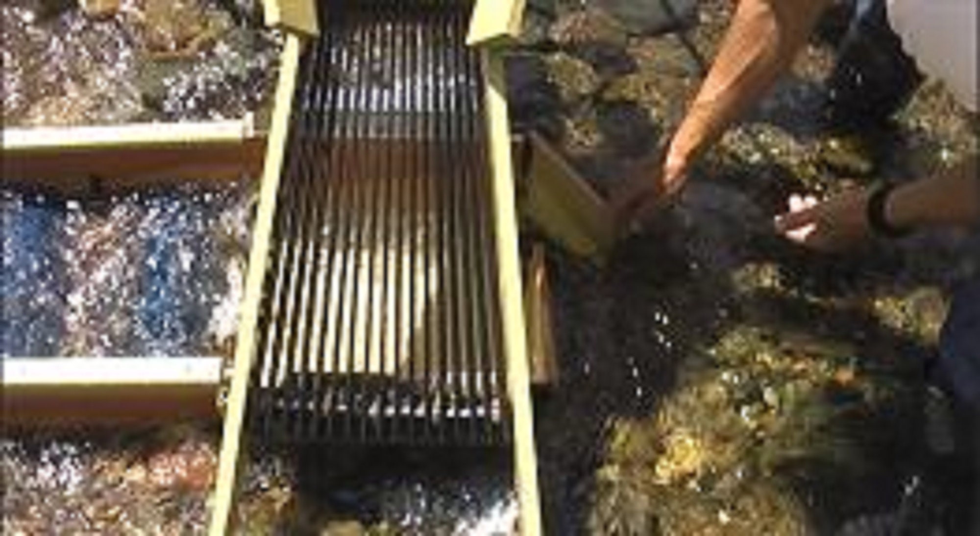 DIY High Production Sluice Box With Classifier Assembly Plans Etsy