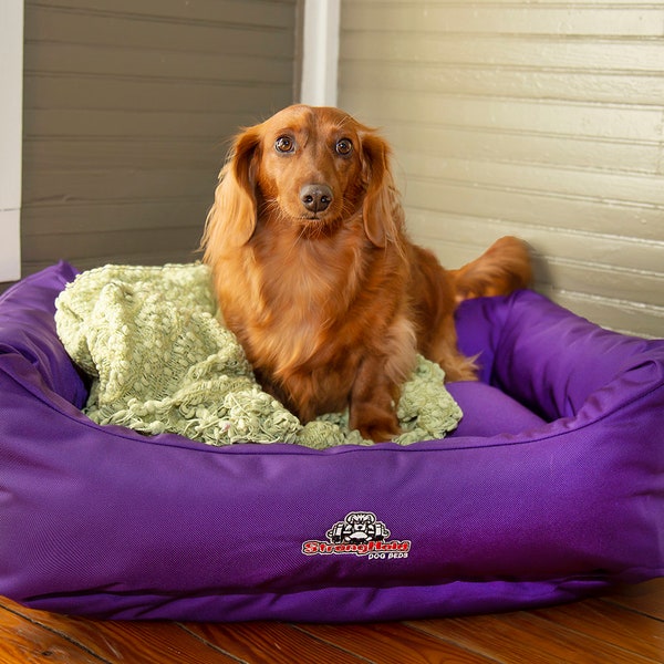 Purple Dog Bed Etsy