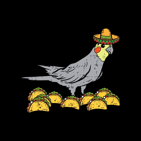 Cockatiel Bird Sombrero Tacos Cinco De Mayo Mexican digital Png