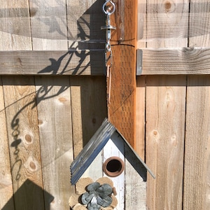 Vogelhuishoezen/regenschermen