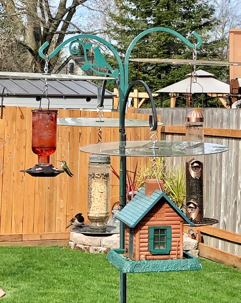 Picture Idea: Birdhouse Covers Rain Shields