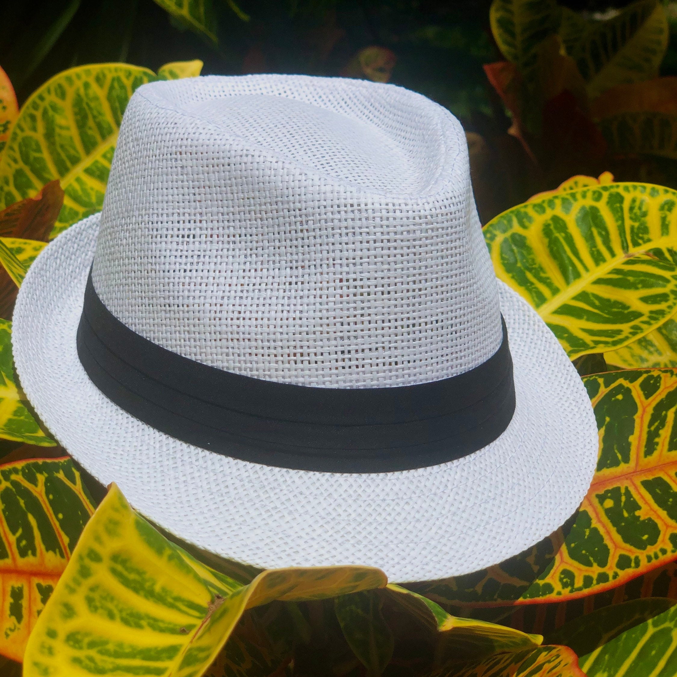 White Fedora Hat Classic Fit Fedora 