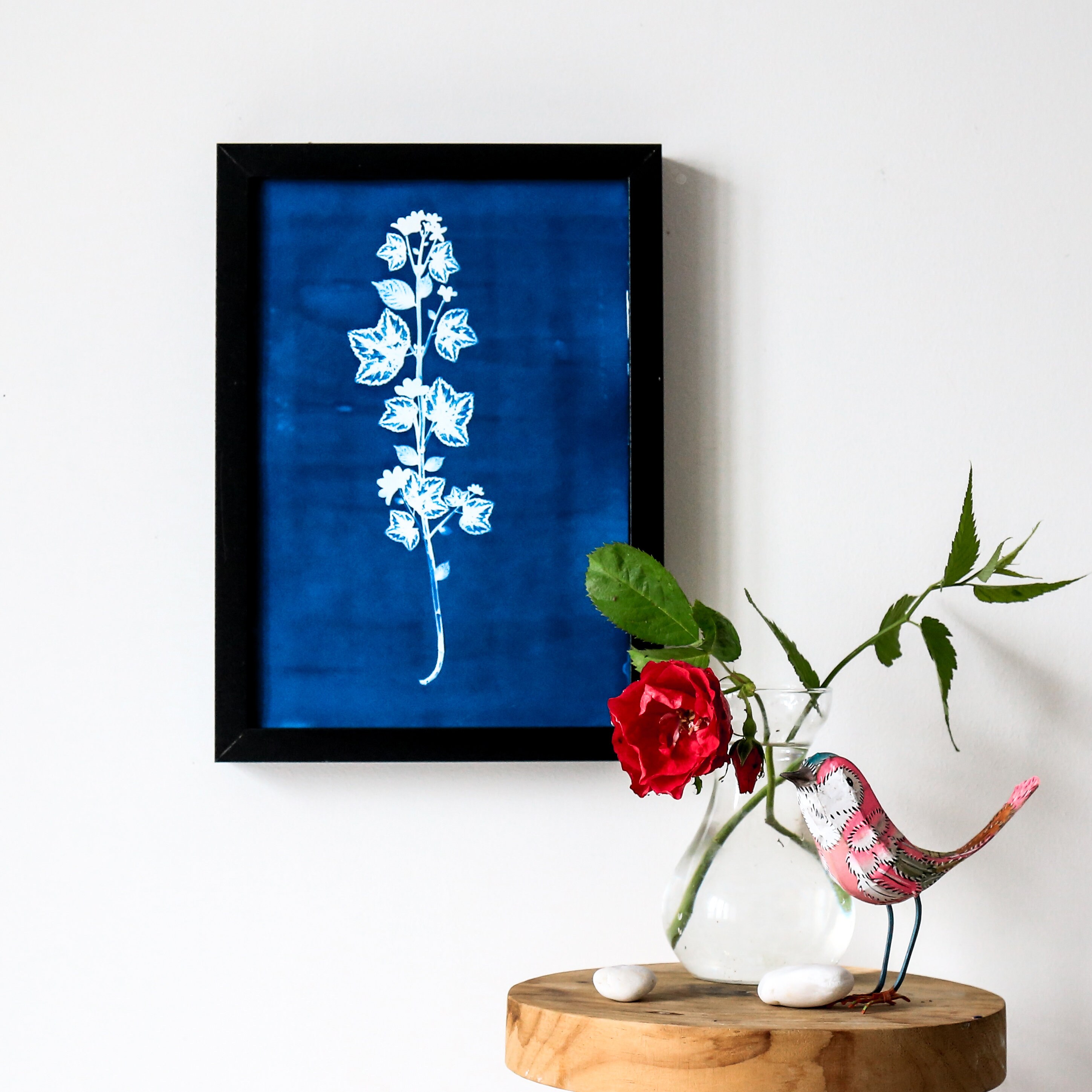 Photographie en Cyanotype de Plante Pour Décoration