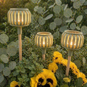 Op de afbeelding: Drie groene zonne-tuinlampen met een lantaarndesign en houten palen. De lampen staan tussen gele viooltjes en groen gebladerte, wat een warme sfeer creëert voor een tuin of terras.