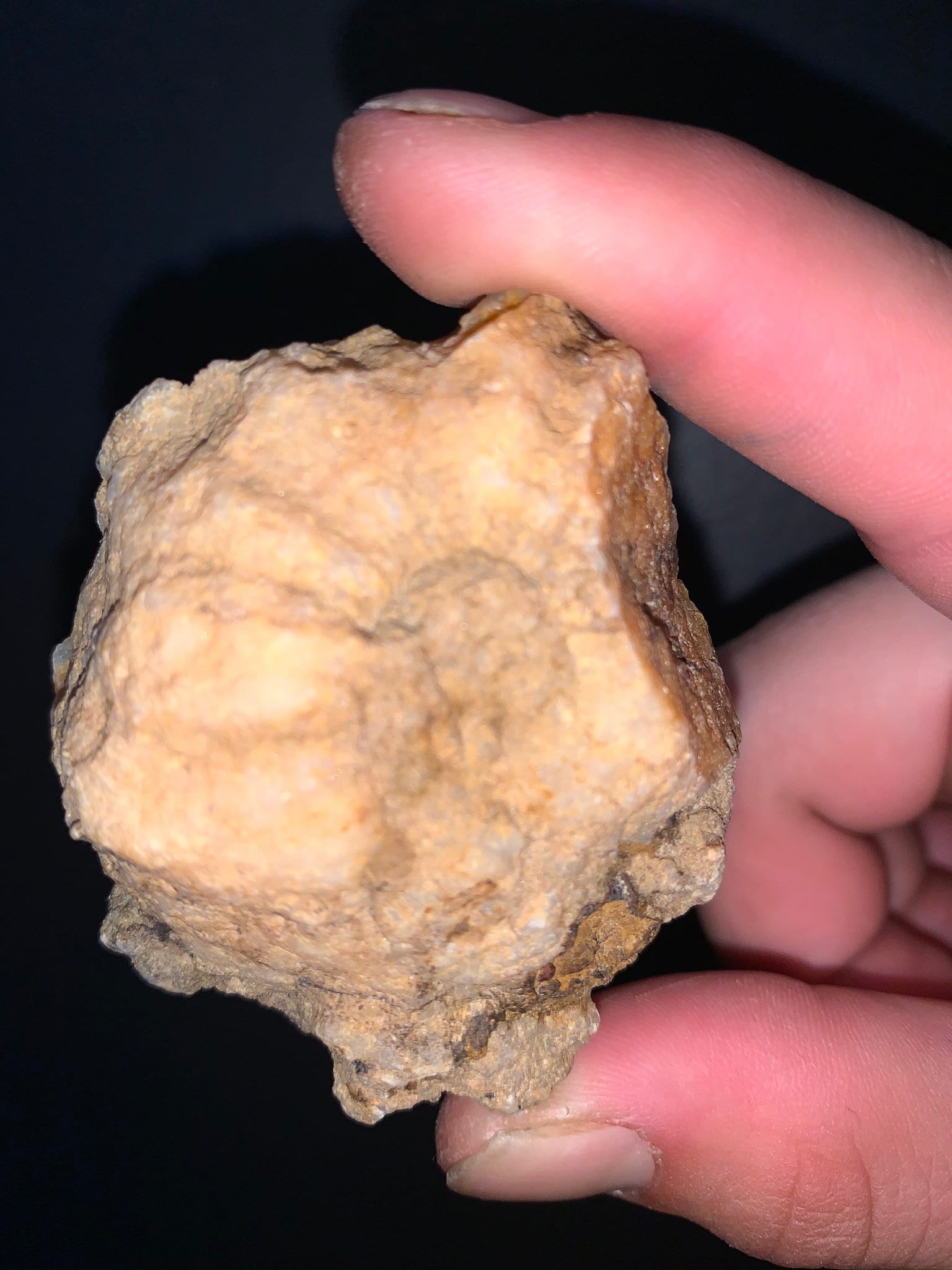 FOSSIL Geode Southern Indiana geodes Etsy