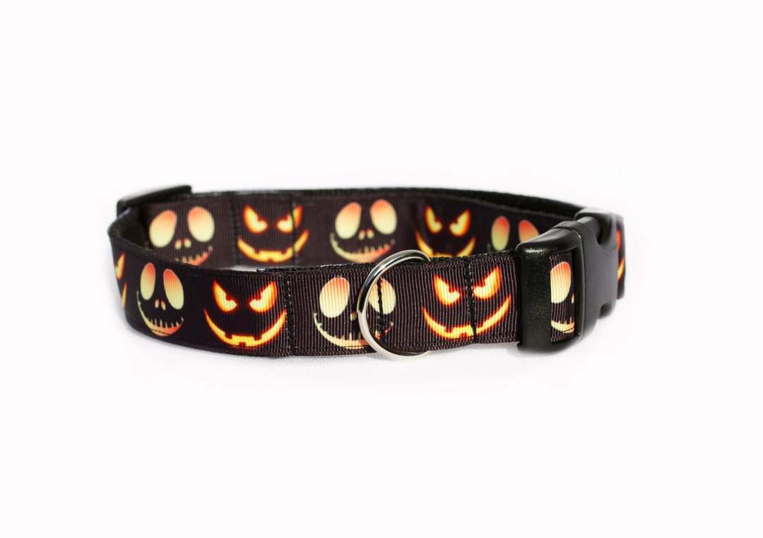 Halloween Dog Collar Jack O Lantern Etsy