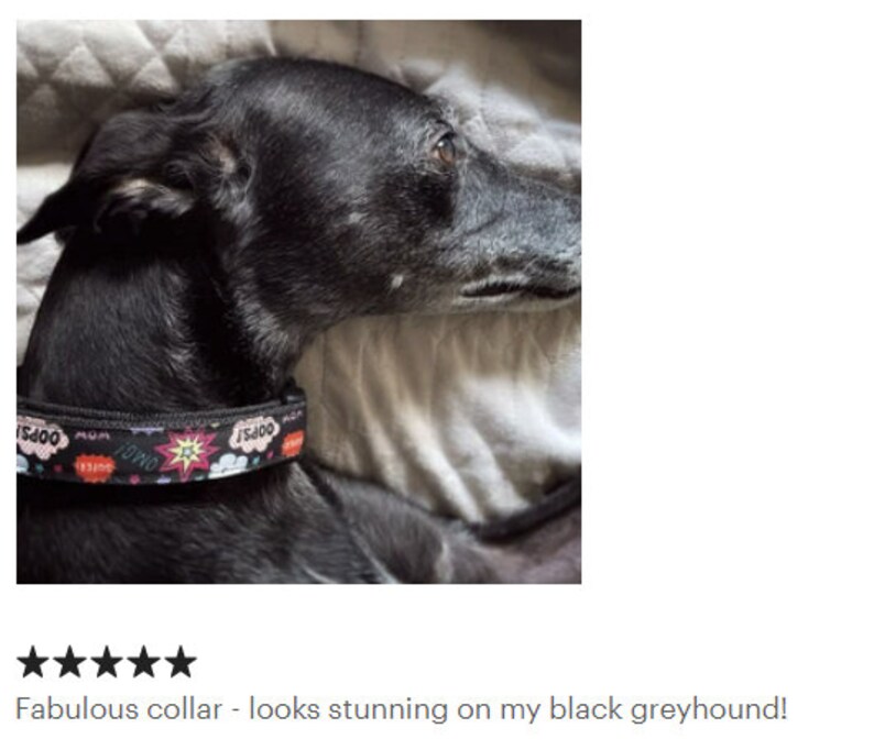 May include: A black dog wearing a black collar with a colorful comic book design. The collar features the words "WOW", "OOPS", and "OMG!" in speech bubbles, along with a starburst graphic. The dog is lying on a light-colored surface.