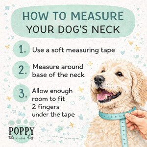 May include: A light blue and white illustrated guide on how to measure a dog's neck. A golden retriever is shown with a measuring tape around its neck. The text reads: Use a soft measuring tape, measure around the base of the neck, and allow room for two fingers.