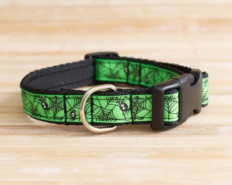 Halloween Dog Collar green dog collar with spiders puppy collar for Halloween