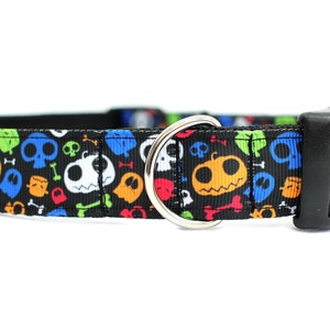 Collier coloré pour chien d'Halloween