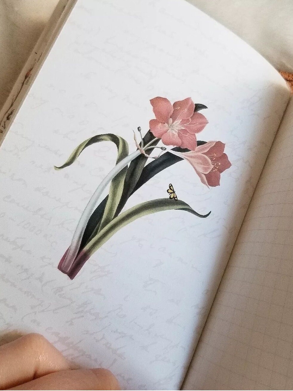 Vintage Florals Printable | Multiple Sizes | Planner | Journal | Art ...