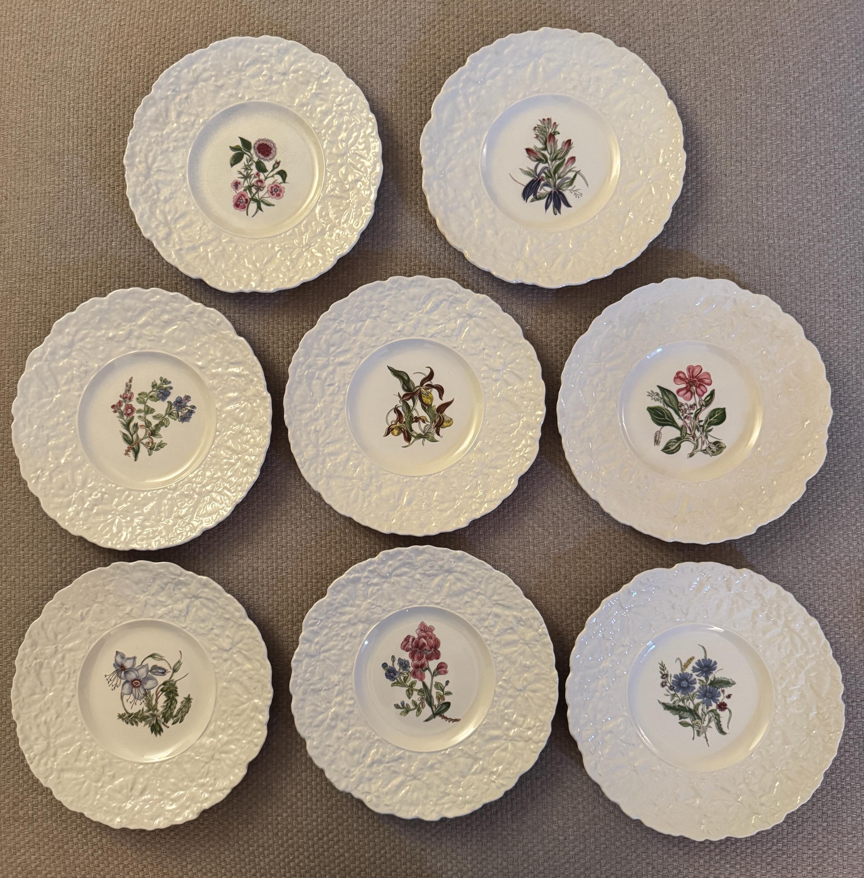 Royal cauldon plates - Etsy 日本