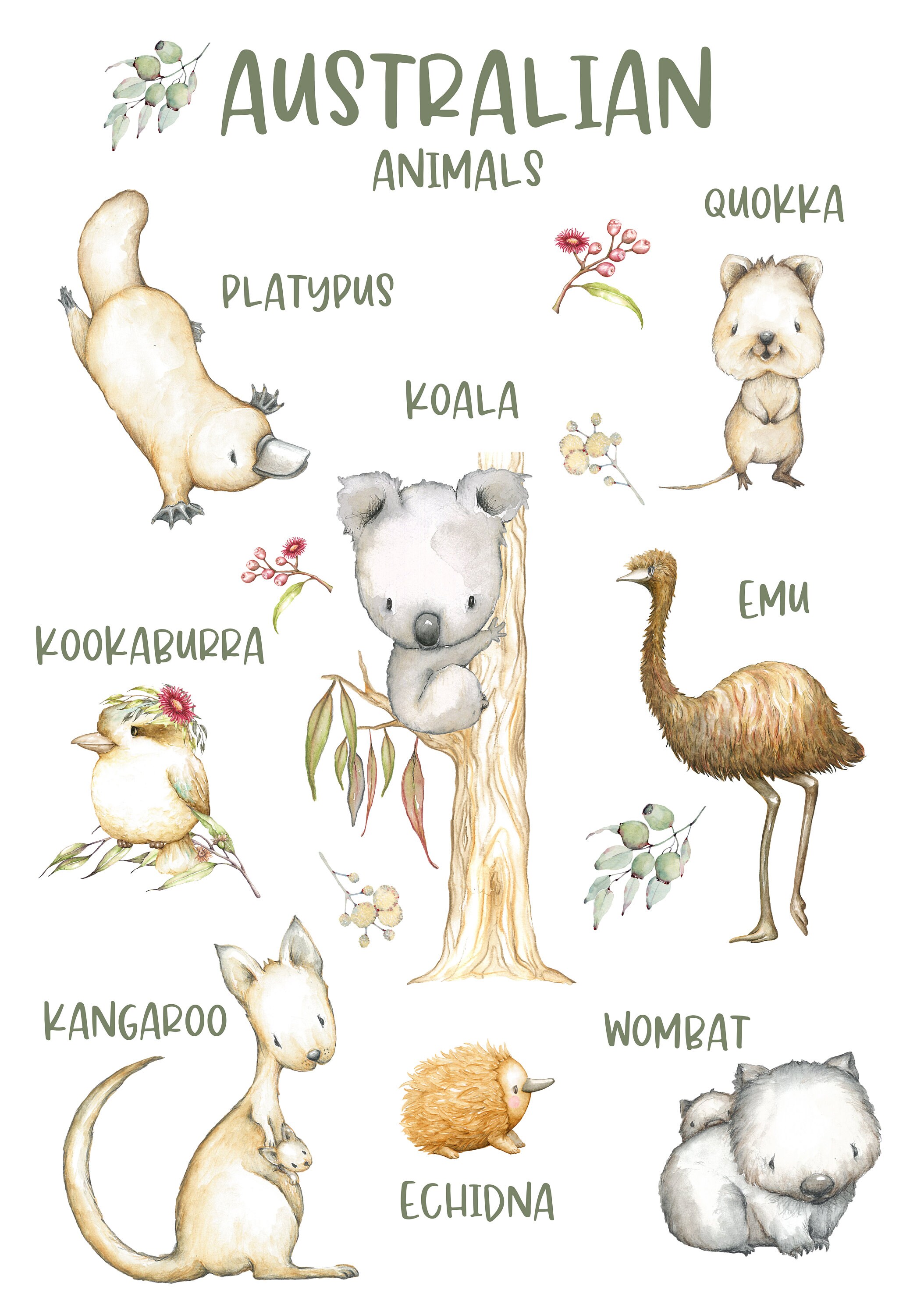 Instant Digital Download Australian Animal Wall Print Set Etsy