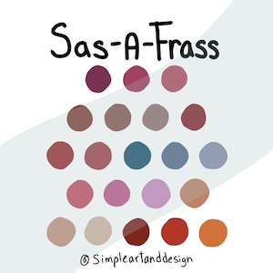 Sas-a-Frass Procreate Color Palette | fun color palette | procreate tools | summer color palette | digital design | procreate design | color