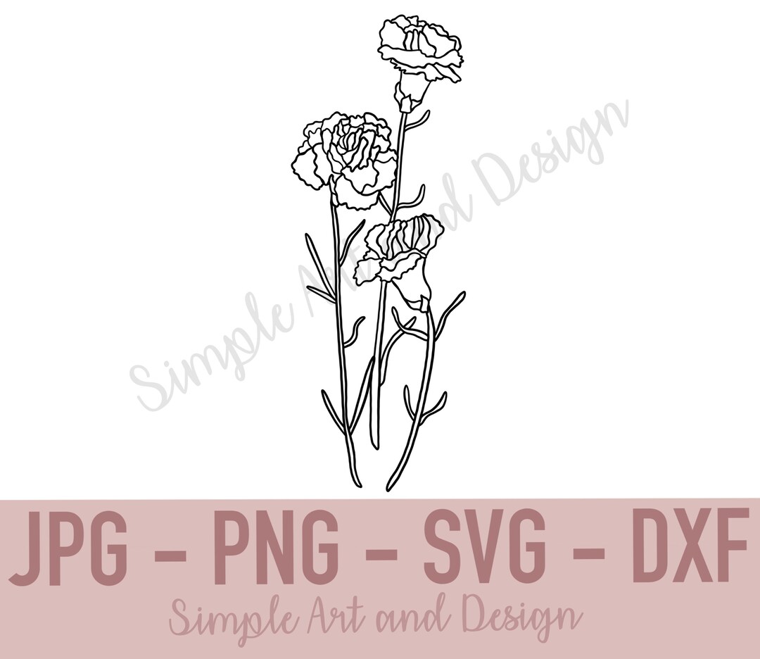 Carnation | SVG | JPG | PNG | Dxf | Carnation Svg | Flower Svg ...