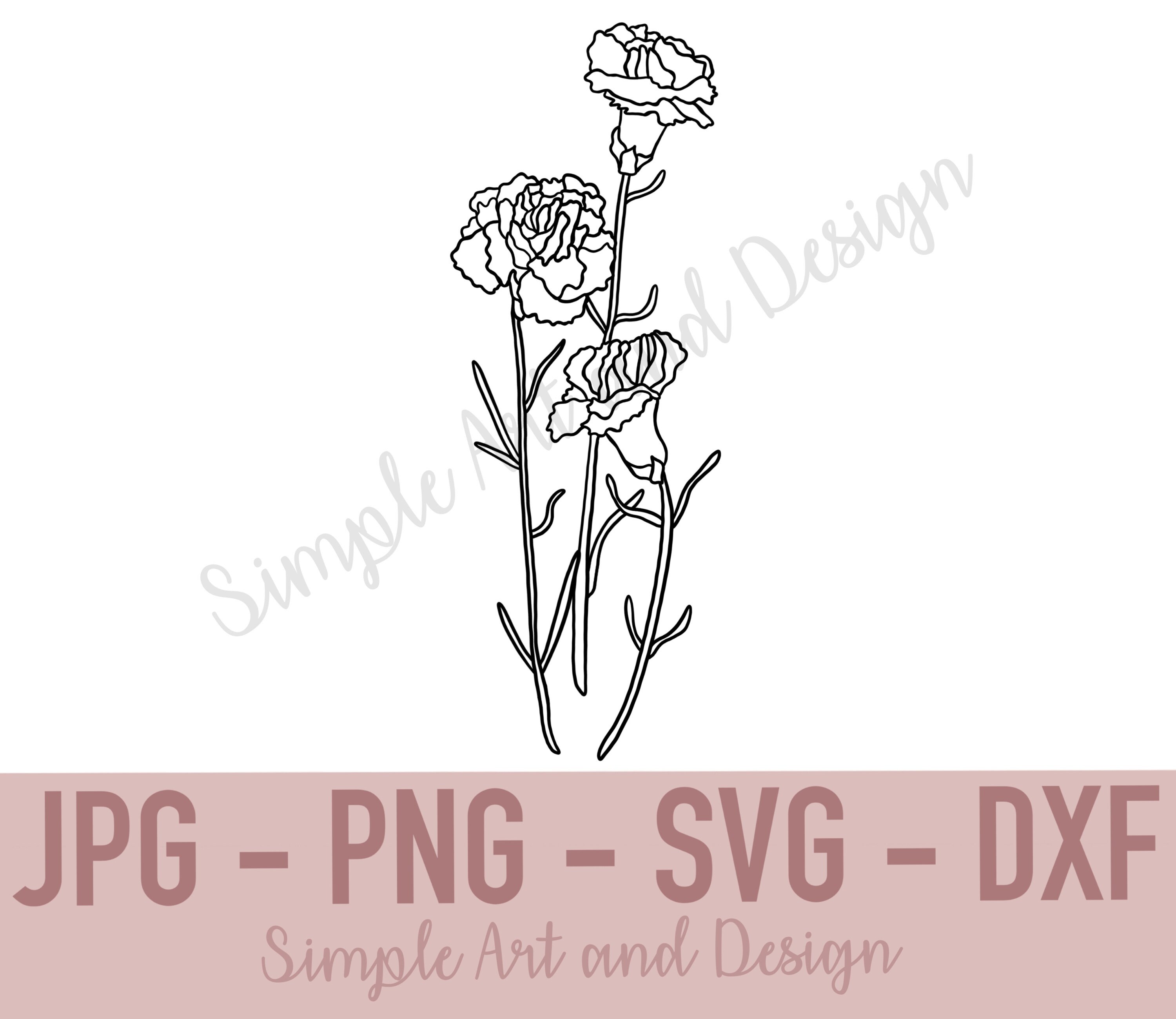 Carnation SVG JPG PNG Dxf Carnation Svg Flower Svg Etsy Canada