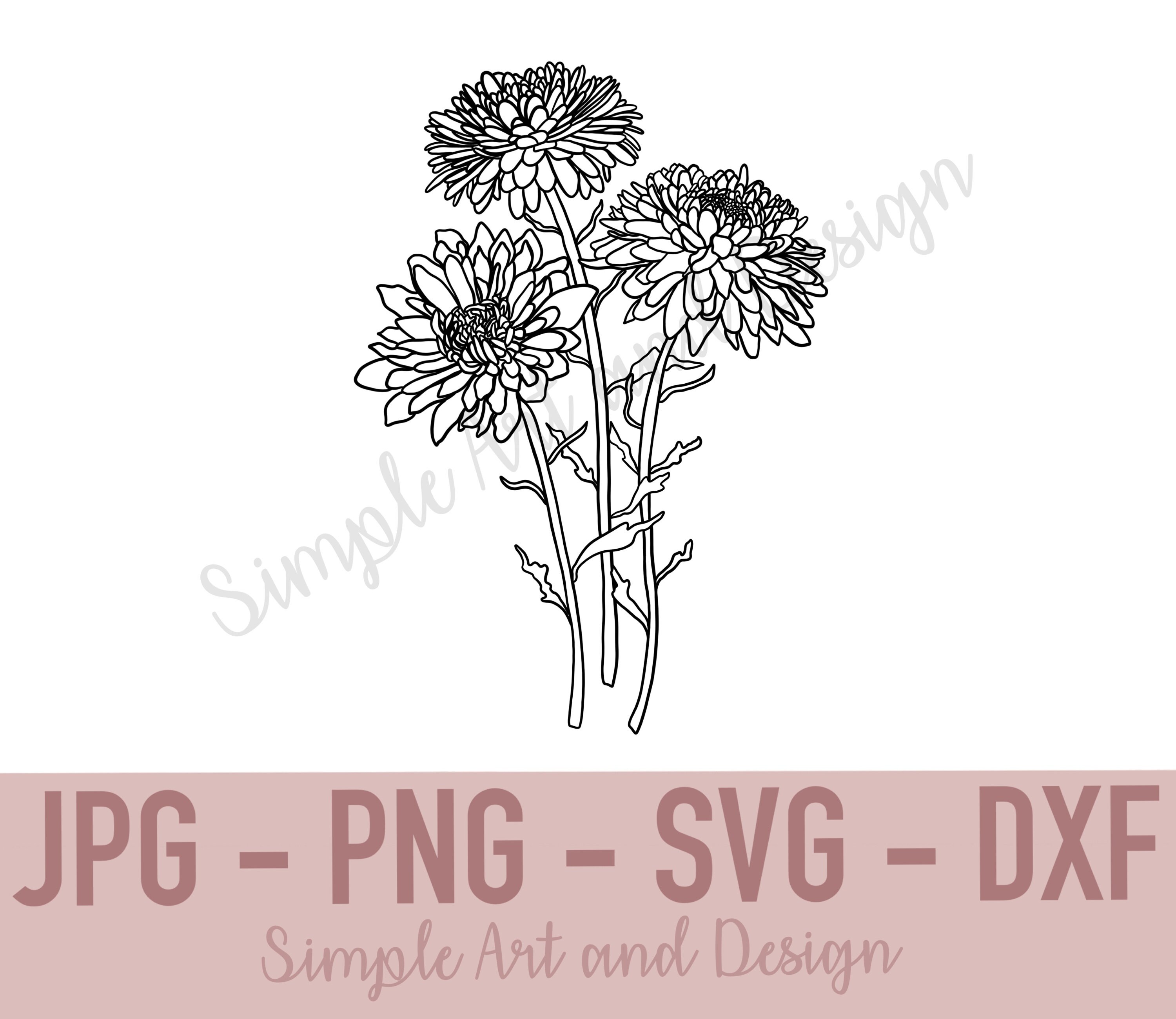 Chrysanthemum | SVG | JPG | PNG | dxf | Chrysanthemum svg | Flower svg | Digital Download | Flower Design | Chrysanthemum Design | Flowers
