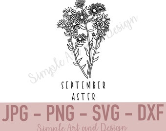 Może przedstawiać: Czarno-biała ilustracja liniowa bukietu kwiatów astry z napisem SEPTEMBER ASTER poniżej. Dolna sekcja zawiera brudnoróżowy baner z napisem JPG - PNG - SVG - DXF oraz Simple Art and Design.