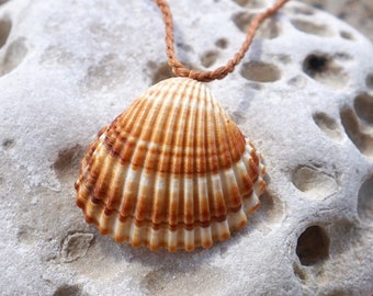 Seashell Beach Necklace * Natural Shell Jewelry * Summer-themed Pendant * Unisex Beach Pendant * Beach Wedding Jewelry * Real Shell Necklace