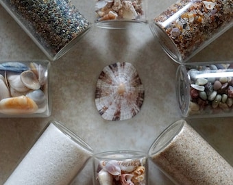 Beach Elements Set * Seaside Resin Supplies * Beach Jewelry * Miniature Shells and Stones * Beach Wedding Favors * Fairy Garden * Terrarium