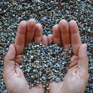 May include: Two hands cupped together holding a handful of small, colorful pebbles. The pebbles are a mix of gray, brown, white, and red.