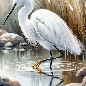 70 images Aigrette neigeuse numérique Kit d'art numérique aquarelle Numériques oiseaux aquatiques Scrapbooking Journalisation Fabrication de cartes