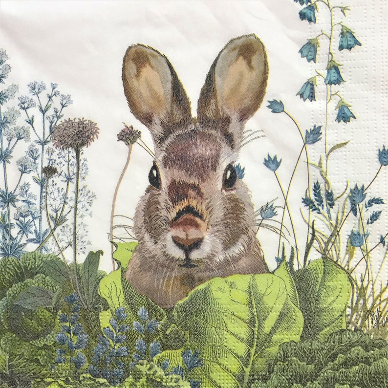 Junk Journals Collage Paper Cabbage Patch Bunny Decoupage Art Tissue Decoupage Decoupage Napkin 6.5 x 6.5 064 Scrapbooking