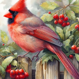 63 Bilder Cardinal Bilder Vogel Digital Art Printable Sofortiger digitaler Download Vintage Bilder Scrapbooking Journaling Kartenherstellung