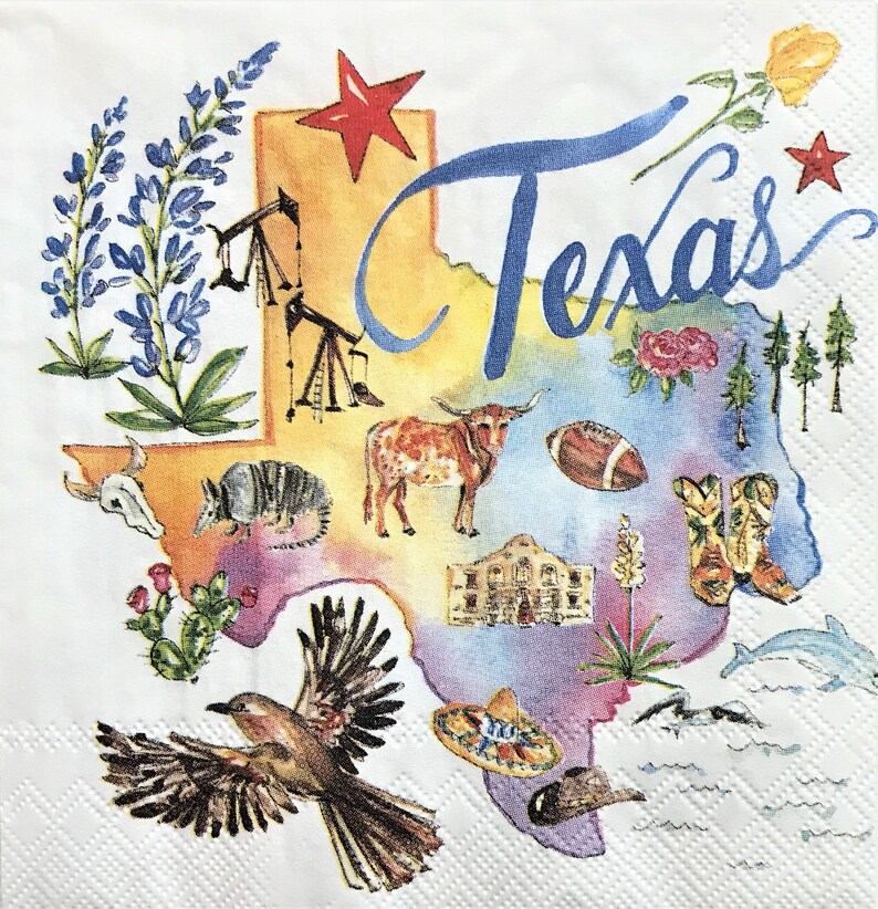 Collage Napkin 5 x 5 Texas Scrapbooking Journal Art State Napkin Junk Journals C176 Decoupage Napkin Tissue Art