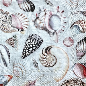 Decoupage Napkin, 5" x 5", Ocean Shells, Scrapbooking,Decoupage Napkins, Junk Journals, Collage Paper, Journal Art, Tissue Art, C446