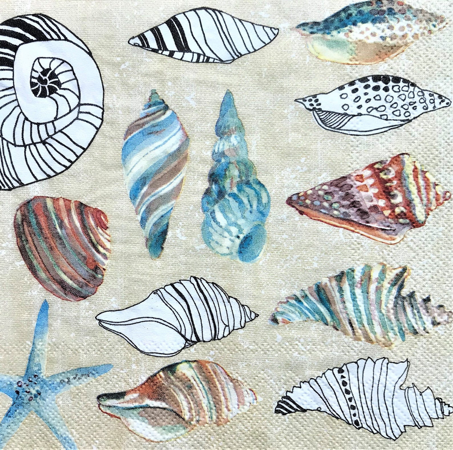 Decoupage Napkin 6.5 X 6.5 Seashells Etsy