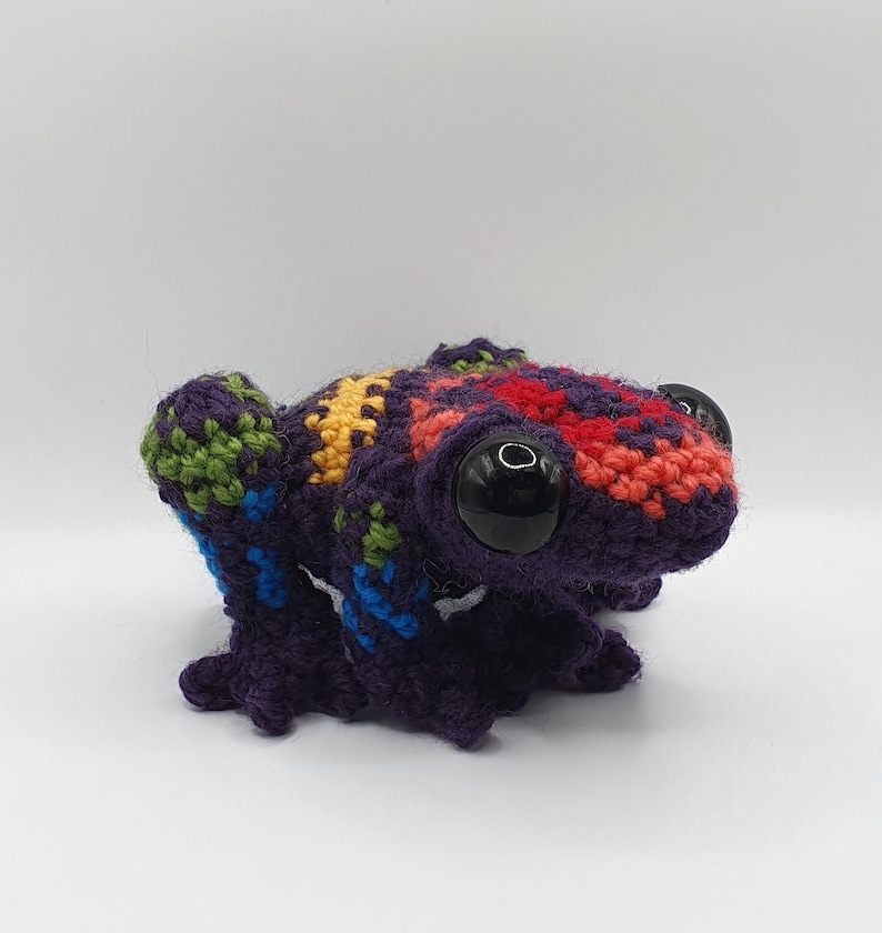 May include: A crocheted frog toy with a purple body, red, yellow, green, and blue accents, and black eyes.