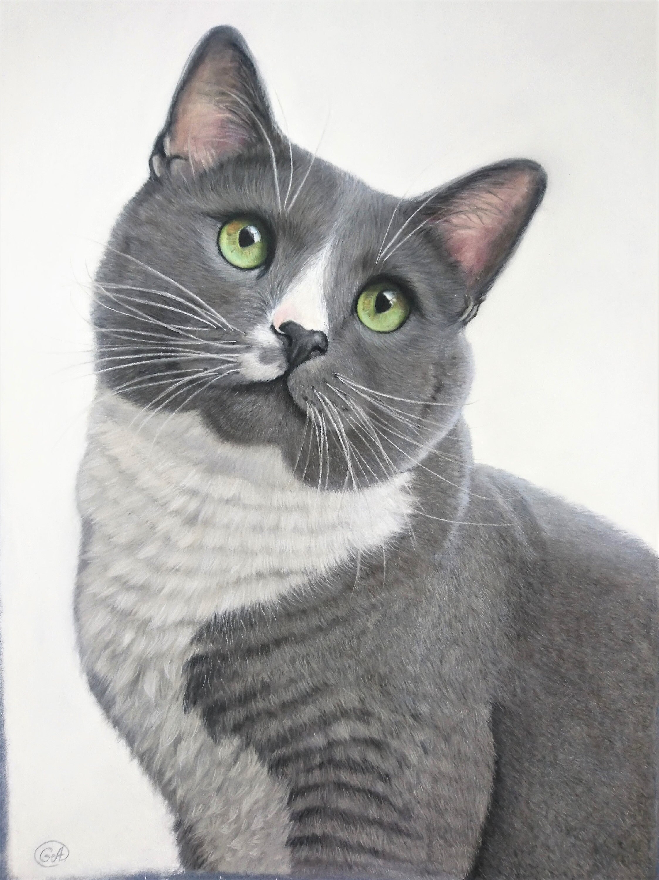 Portraits Personnalisés d'animaux de Compagnie à Partir Photos