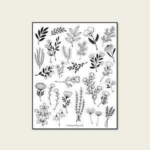 Floraison N&B