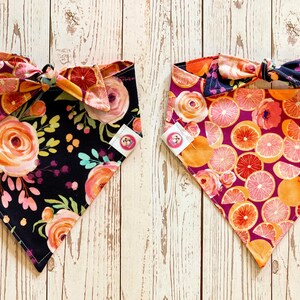 Bandana floral para perro, bandana floral, bandana Citru, bandana reversible para perro, bandana para perro, corbata en bandana, bandana reversible para mascotas, bandana para perro
