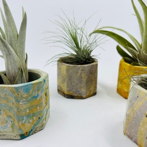 May include: Four hexagonal concrete planters with a marbled design in shades of yellow, blue, and gray. Each planter holds a small air plant.
