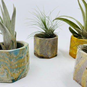 Mini Concrete Planter * Air Plants, Succulents, Candles or Accessories!  Great Gifs or Favors. Customize and mix n match for free shipping!