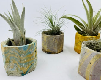 Mini Concrete Planter * Air Plants, Succulents, Candles or Accessories!  Great Gifs or Favors. Customize and mix n match for free shipping!