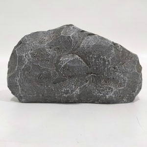 May include: A large, gray, irregularly shaped rock with a rough, textured surface. The rock is made of a lightweight material and is ideal for use in model train layouts, miniature gardens, or other craft projects.